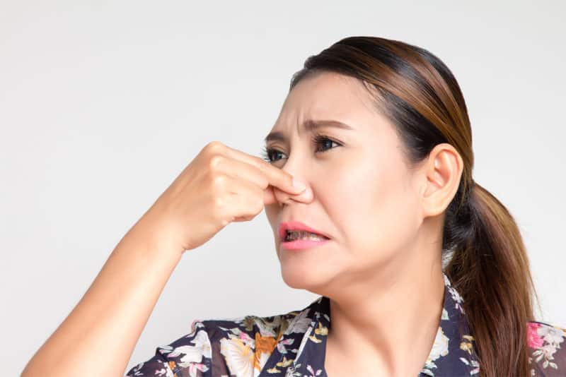 Asthma Bad Smell Stinky Air Quality Iaq Bigstock E1576333047601