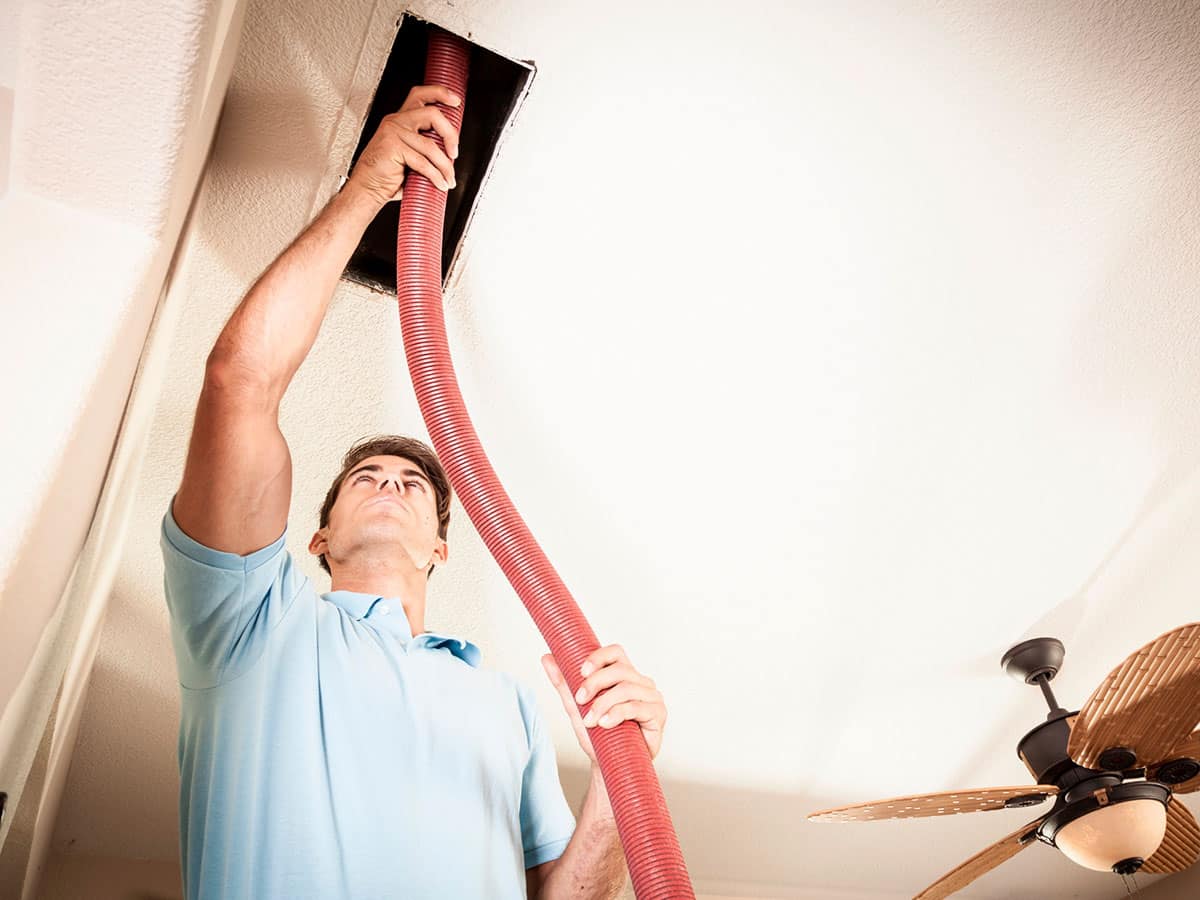 Blog 3 Things To Know About Professional Duct Cleaning